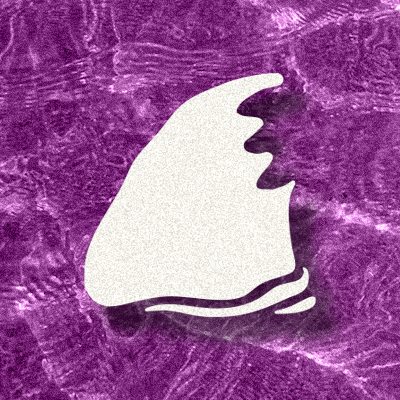 Shark Showdown Logo